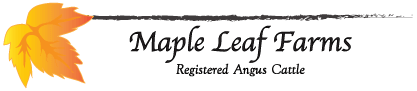 Maple Farms Logo